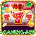 84y Royal Gaming App