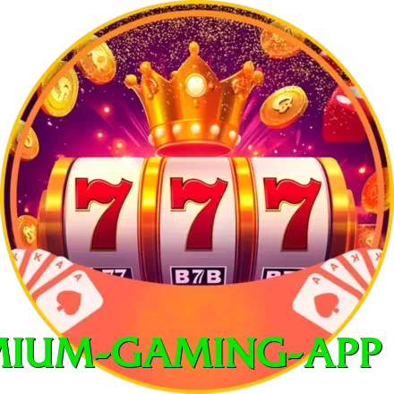 9nz Premium Gaming App - pk